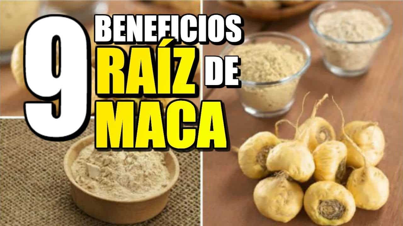 beneficios maca peruana