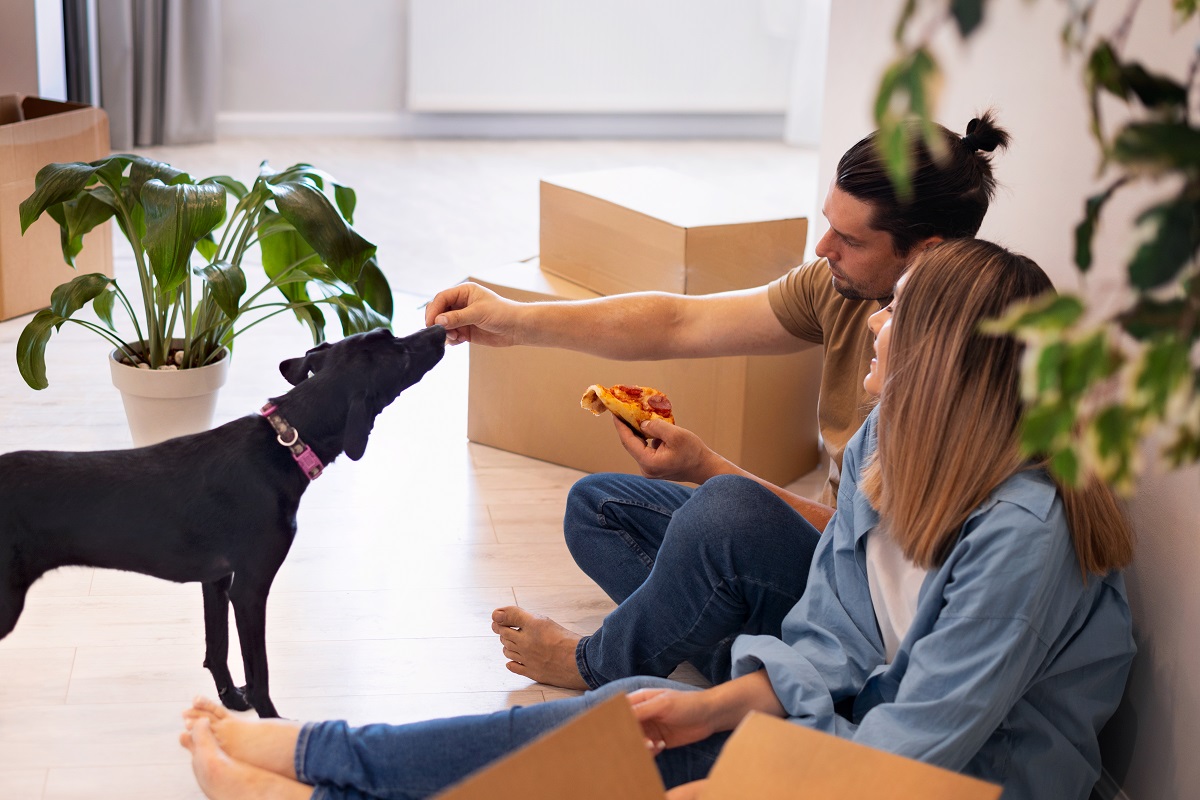Casal feliz movimentando em sua nova casa com seu pet na mudança