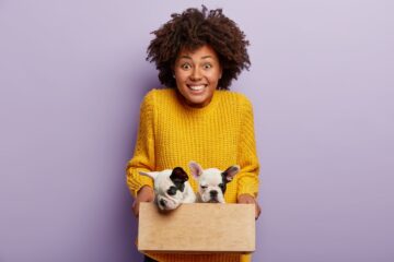 Mulher afro americana com sueter amarelo segurando filhotes em caixa para mudança
