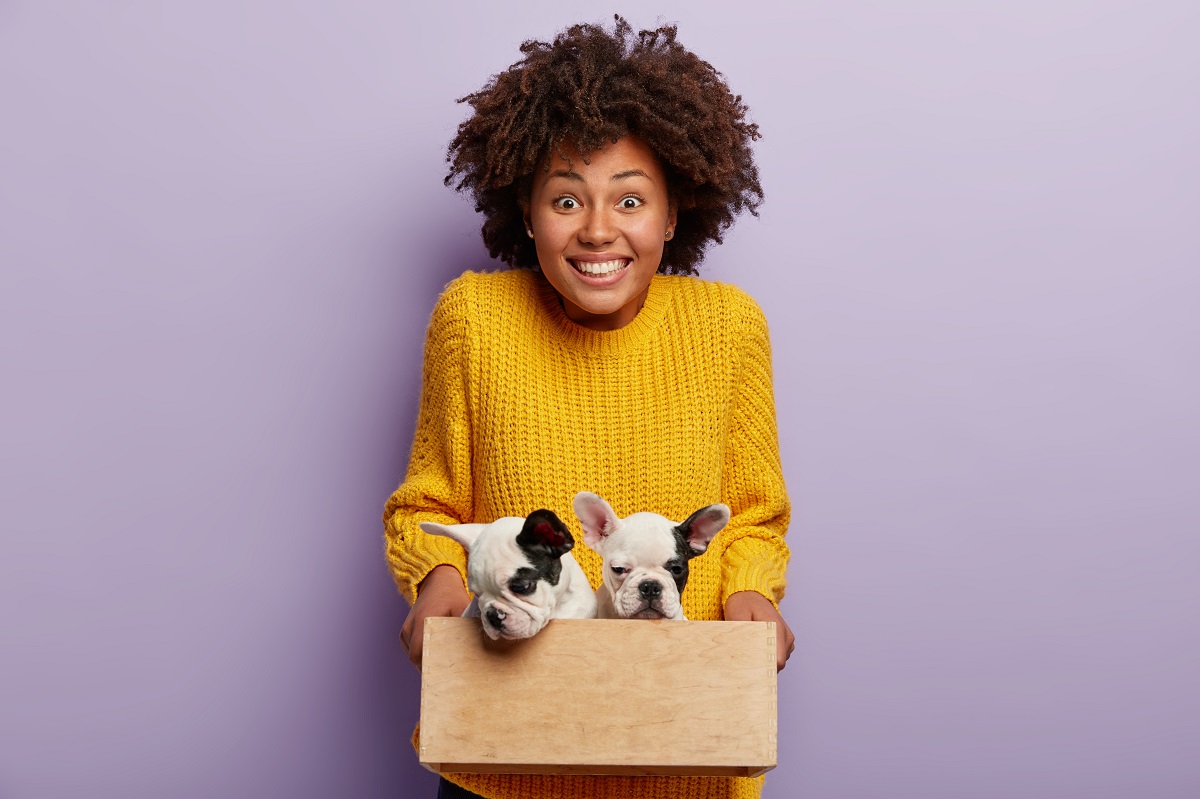 Mulher afro americana com sueter amarelo segurando filhotes em caixa para mudança